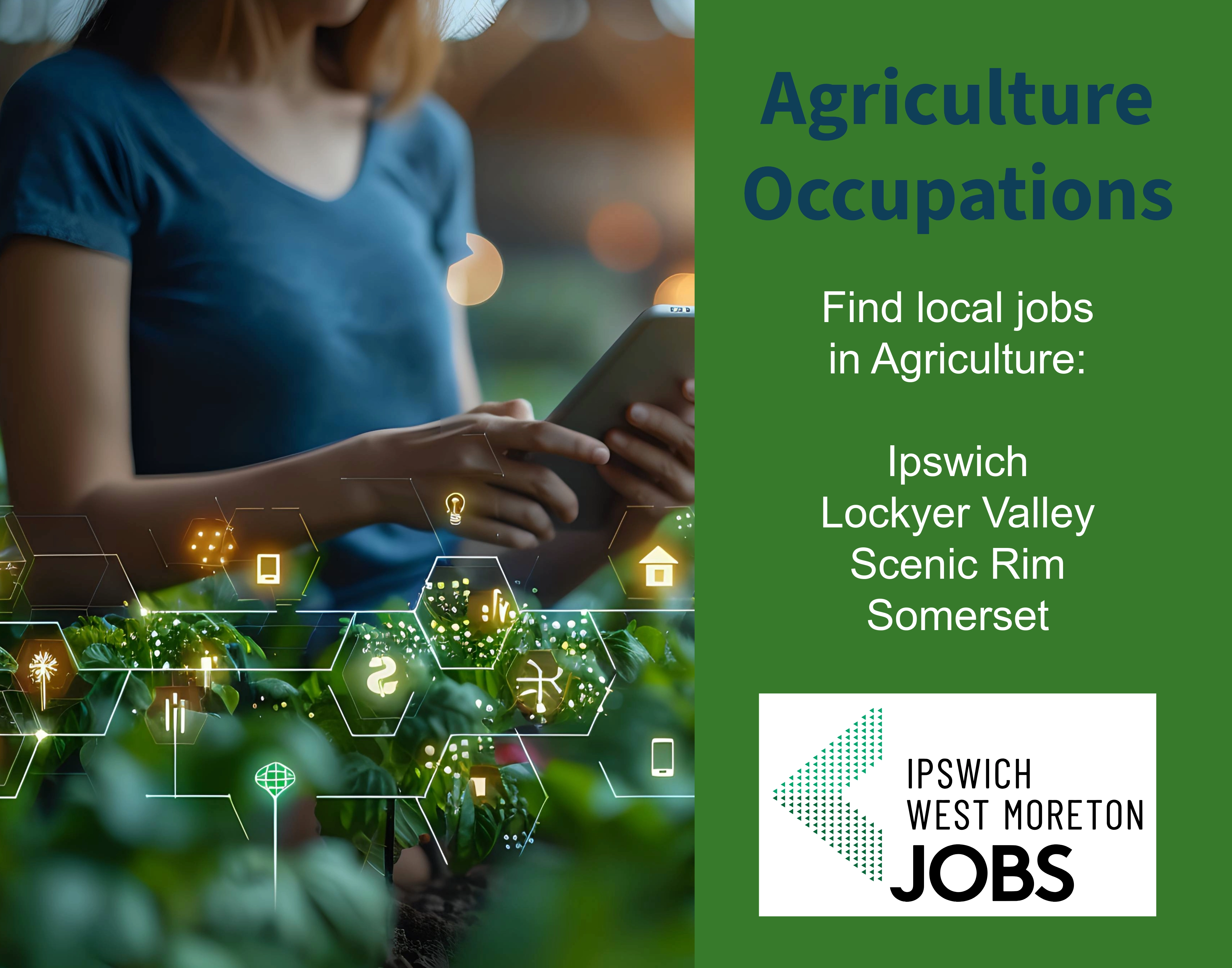 Woman using tablet to monitor crops in the field